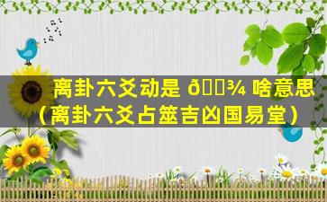 离卦六爻动是 🌾 啥意思（离卦六爻占筮吉凶国易堂）